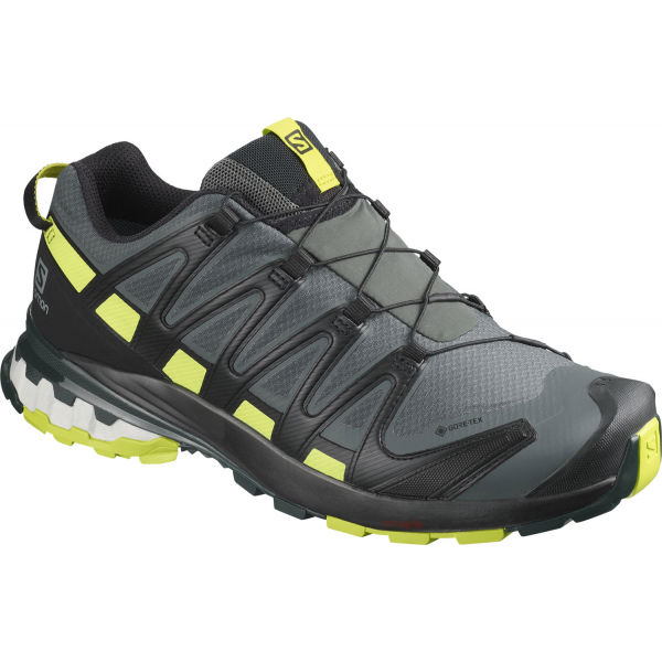 Salomon XA PRO 3D V8 GTX Pánská běžecká obuv