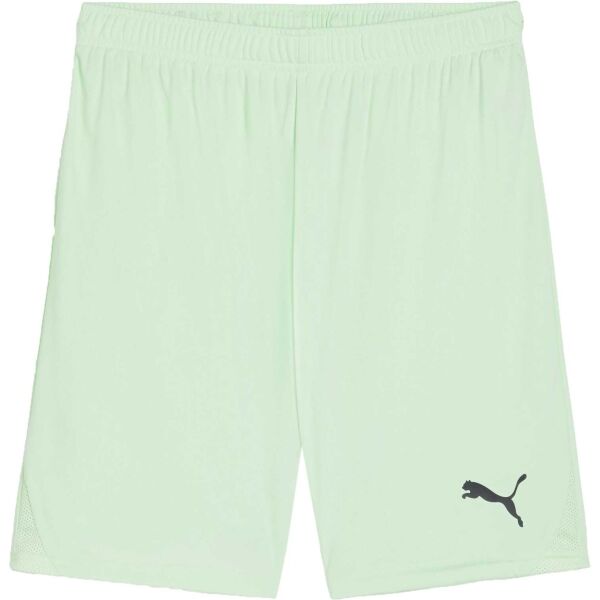 Puma TEAMGOAL SHORTS Pánské fotbalové šortky