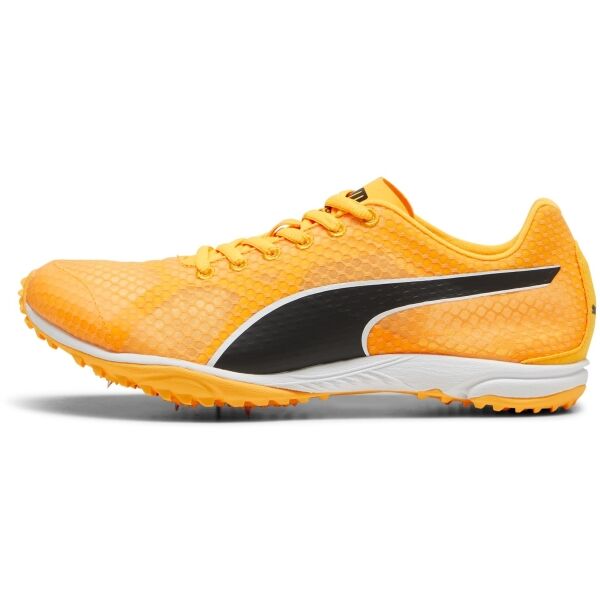 Puma EVOSPEED HARAKA 8 Unisex tretry